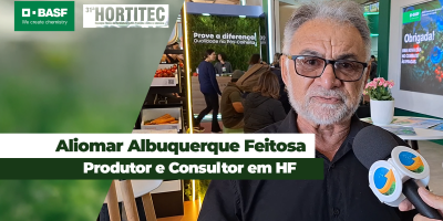Tomate é cultura que mais está sofrendo com doenças bacterianas nos cultivos de hortifruti
