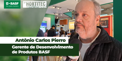 Iniciar a lavoura com híbrido resistente à doenças faz total diferença na produtividade do tomate