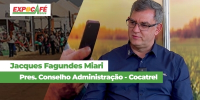 Safra de café arábica  é  grande mas não  é  recorde , alerta Cocatrel