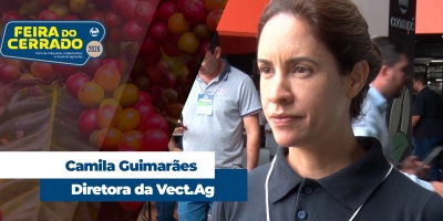 Automação e crédito subsidiado são os atuais pilares para sobrevivência na cafeicultura