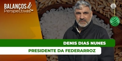 Preços do arroz em 2025 atingiram os menores níveis em anos no Brasil