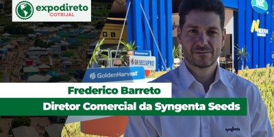 Safra de verão 25/26 deve ter resultados melhores do que os últimos anos na região de Não-Me-Toque/RS