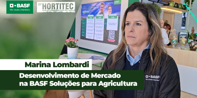 Mosca-branca e trípes são grandes desafios para produtores de tomate e podem causar perdas de até 80%