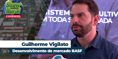 Ano com clima bom para a soja também facilita aumento da pressão de pragas e doenças em Cascavel/PR
