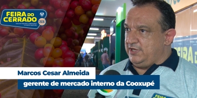 Mercado do café segue valorizado e oferecendo boas oportunidades aos produtores brasileiros