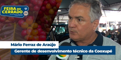 Em 2026, Brasil deve ter a melhor safra de café dos últimos 4 anos