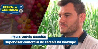 "Diversificação de culturas é uma forma de segurança e lucratividade ao produtor", explica supervisor da Cooxupé