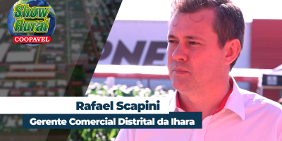 Percevejos tiram potencial produtivo da soja e o sono dos produtores