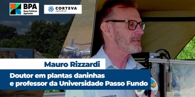 Controle de plantas daninhas deve ser pensado dentro do sistema de produção, do pré- plantio  ao pós-colheita
