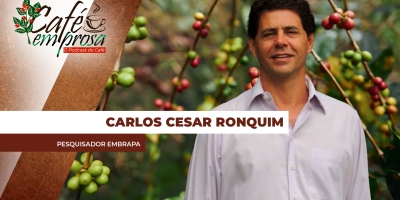 Estudo promovido pela Embrapa Territorial mostra o potencial produtivo da cafeicultura nas Matas de Rondônia