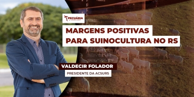 Suinocultura no RS conta com oferta ajustada à demanda e margens positivas na atividade