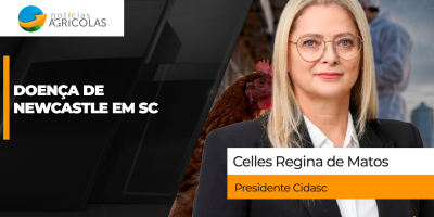 Doença de Newcastle é confirmada em granja de perus em SC e estado mobiliza medidas de contenção