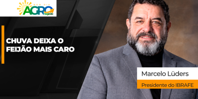 Chuvas atrasam e tiram qualidade da colheita de feijão, além de impedirem plantio da 1ª safra; mercado já sente o impacto