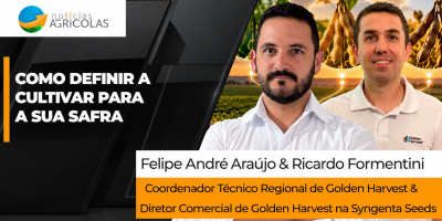 O que avaliar na escolha da semente para garantir alta produtividade na próxima safra
