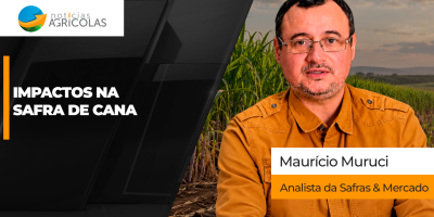 Excesso de chuvas impacta no andamento da colheita de fim de safra e ciclo 27 entra no radar