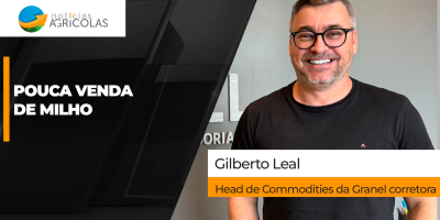 Com mercado brasileiro pressionado, produtor evitar avançar com a comercialização do milho