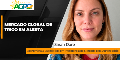 Clima adverso e logística global rompida mantêm mercado de trigo em alerta