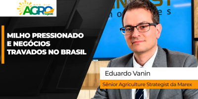 Pressão em Chicago e atraso nas exportações acendem alerta para o mercado de milho no Brasil