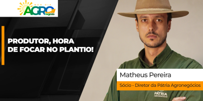 Mercado de grãos se ajusta ao cenário pós-eleitoral e clima impõe cautela no início da safra de soja
