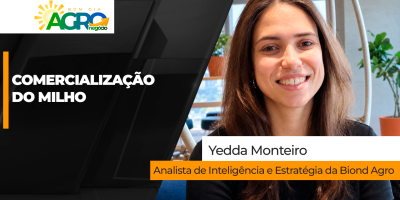 Comercialização do milho brasileiro segue lenta com pressão da oferta tanto no Brasil quanto nos Estados Unidos