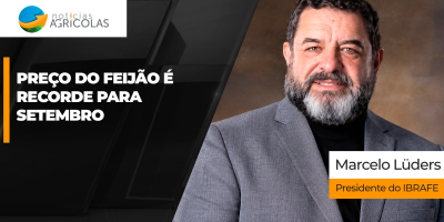 Com oferta menor do que a demanda, preços do feijão sobem e se consolidam na faixa dos R$ 300, patamar recorde para setembro