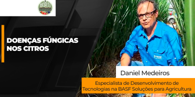 HORTI RESENHA #161 - Doenças fúngicas nos citros exigem manejo antecipado e atenção às condições climáticas