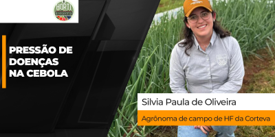 HORTI RESENHA #162 - Safra de cebola começa com alerta para pressão de doenças nas principais regiões produtoras