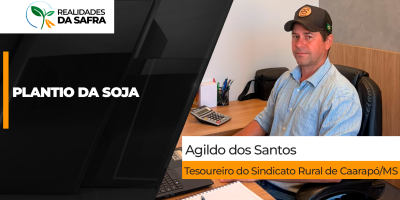 Caarapó/MS aproveita sequência de dias ensolarados e já avança para 60% da soja plantada