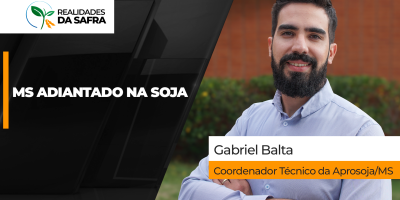 Mato Grosso do Sul já plantou 26% da soja com trabalhos adiantados ante ao ano passado