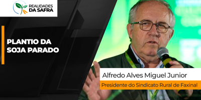 Em 15 dias Faxinal/PR já teve o dobro de chuva de todo outubro de 2025 e plantio da soja não consegue avançar