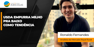 USDA empurra milho pra baixo como tendência