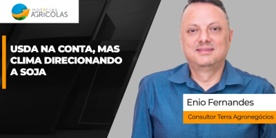 Milho despenca com dados do USDA e soja divide atenções entre Chicago e o clima brasileiro