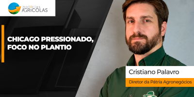 Mercado brasileiro da soja tem semana de preços pressionados, poucos negócios e foco no plantio
