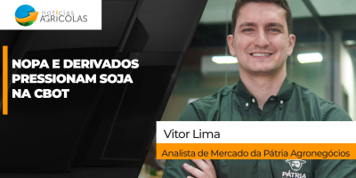 Dados da NOPA e queda do farelo pressionam a soja e Chicago fecha 5ª feira com baixas de dois dígitos