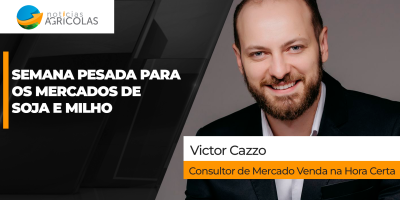 Soja tem semana de pressão em Chicago e no Brasil, apesar do dólar, e negócios ficam bem mais limitados