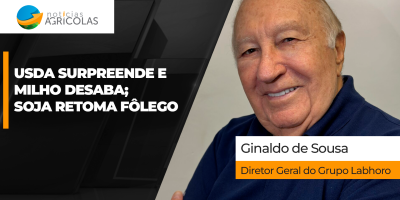 Apesar de pressão agressiva do USDA, soja retoma fôlego e fecha em alta na Bolsa de Chicago nesta 6ª