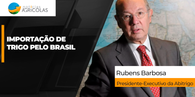 Safra nacional de trigo sofre com o clima e importação pode chegar a 9 milhões de toneladas