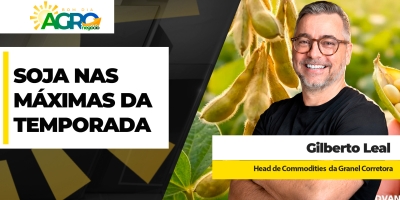 Preços da soja estão nas máximas da temporada no interior e nos portos; safra nova dá boas oportunidades