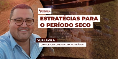 Cinco dicas para planejar a produção pecuária durante o período seco em tempos de guerra