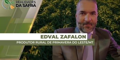 Após outubro e novembro muito secos, soja de Primavera de Leste/MT sofre com estiagem