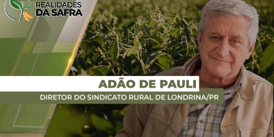 Momentos de muita chuva no começo da safra aumentaram pressão de doenças em Londrina/PR