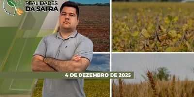 Clima afeta desenvolvimento da soja em Primavera do Leste/MT e contribuí para aumento da pressão de doenças em Londrina/PR