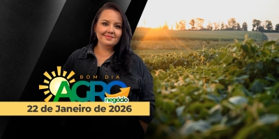 Parlamento Europeu leva acordo UE-Mercosul à Justiça, balança do café desequilibrada e preços de soja limitados no BR