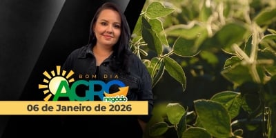 Mercado de commodities politizado