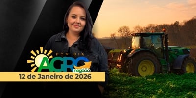 Soja pressionada em reais por saca, colheita começando no BR e expectativas para o novo USDA