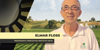 Lavouras caminham para fase de conclusão da safra e mantêm produtor em alerta