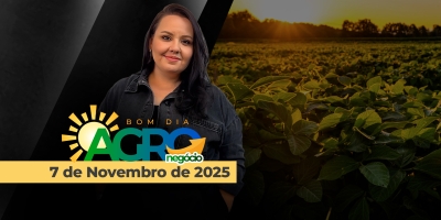 Bom dia Agronegócio - AO VIVO - TV Notícias Agrícolas