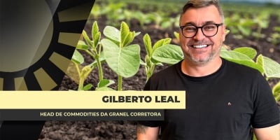 Soja tem semana negativa e analista reforça que carregar produto no BR não compensa neste momento