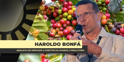 Combinação de clima preocupante, tarifas dos EUA e comportamento do consumo alimentam volatilidade no mercado do café