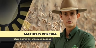 Pressão exercida pela colheita nos preços da soja pode ser parcialmente quebrada pela volatilidade intensa do dólar em 2026